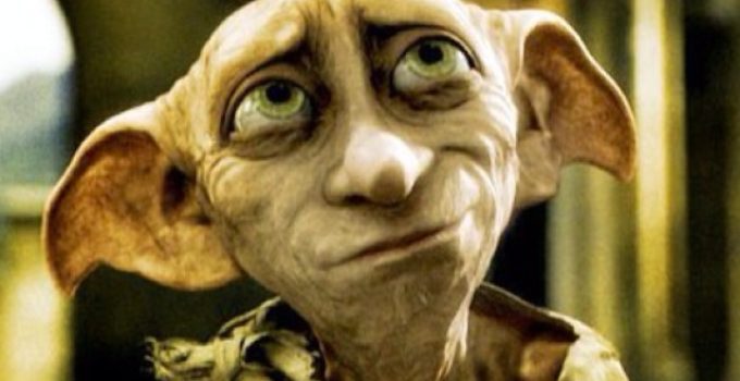 dobby 1